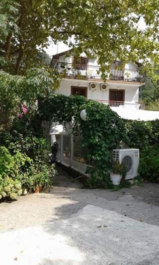 Pansion Mimoza Bed & Breakfast Herceg Novi Luaran gambar