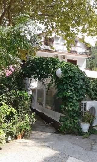 Pansion Mimoza Bed & Breakfast Herceg Novi Luaran gambar
